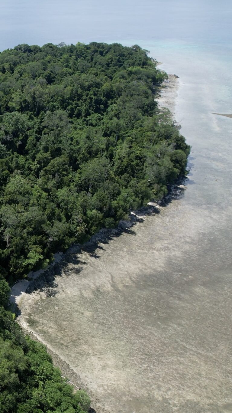 Palau Manim