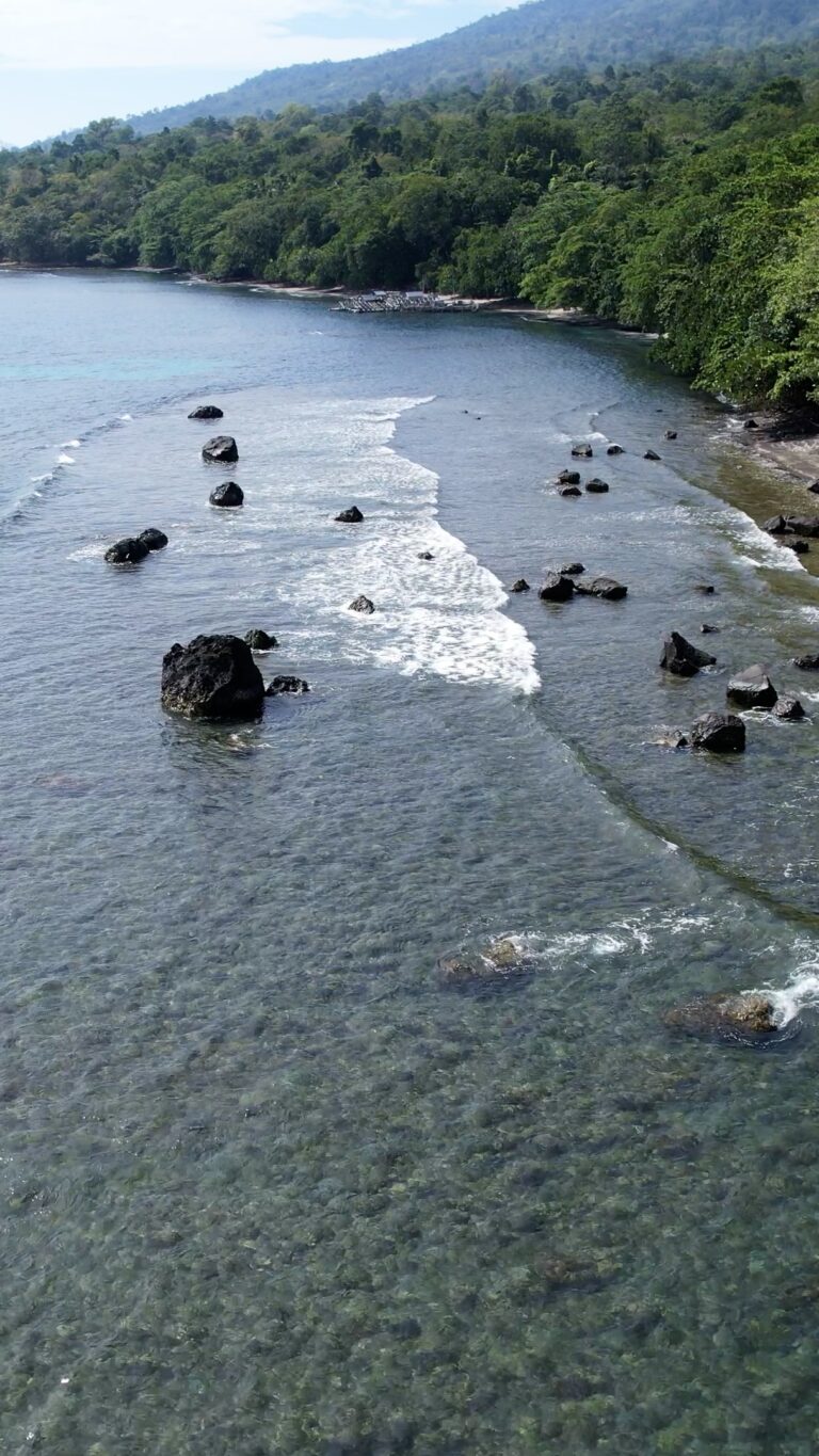 Tangkoko Nature Reserve Coast
