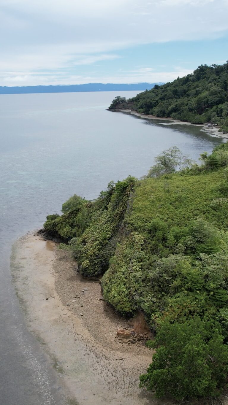 Roon Island Part 1
