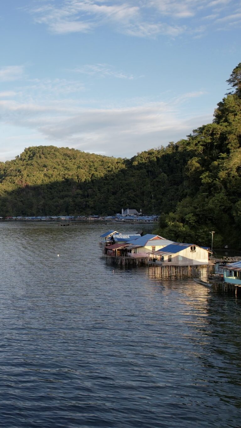 Roon Island Part 2