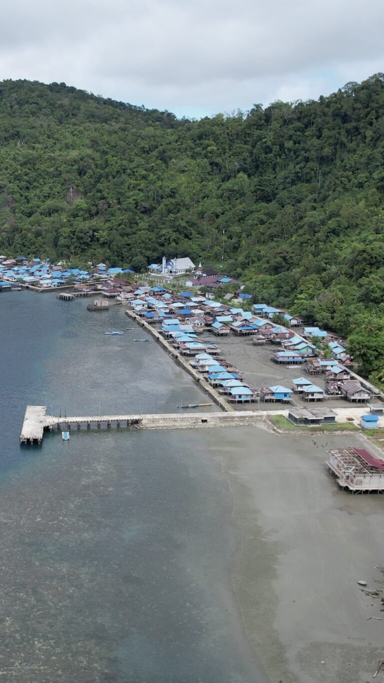Roon Island Part 3