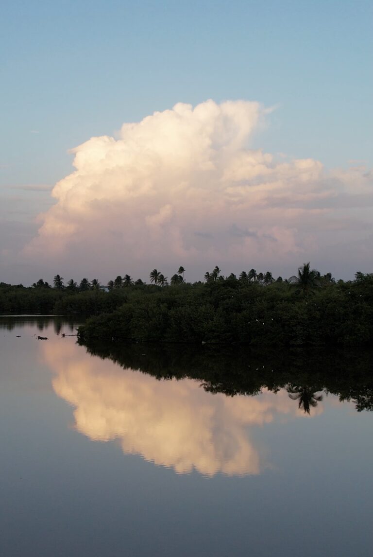 Little Cayman: Out and About