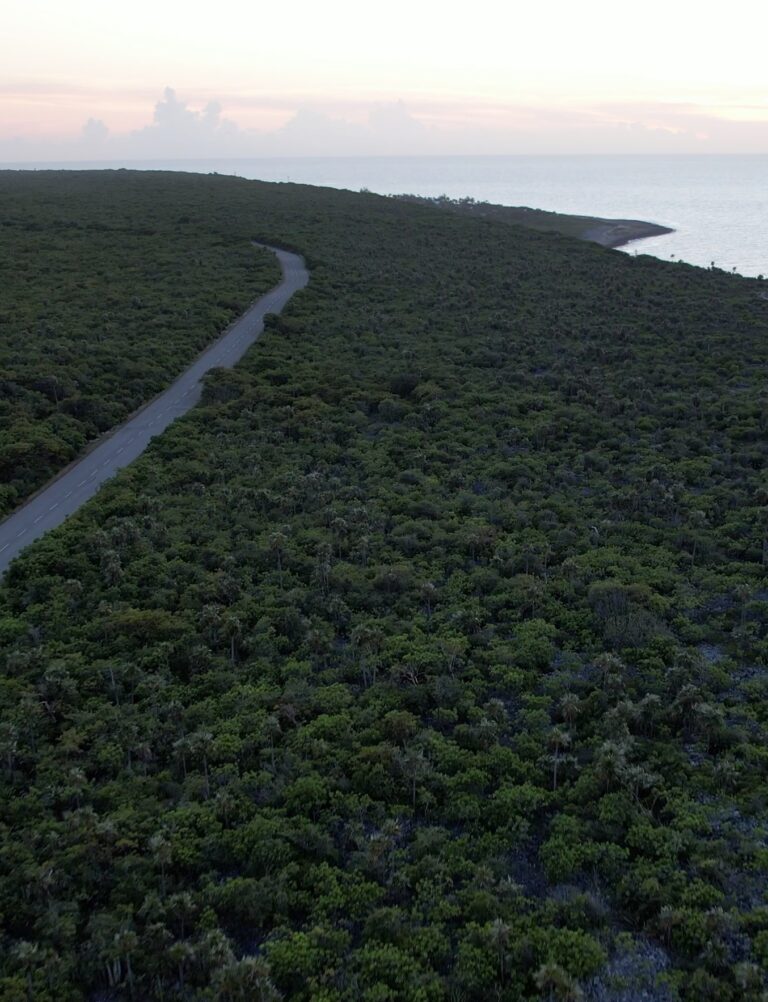 The Bluff:  Cayman Brac 2024